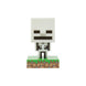 Veilleuse Minecraft Squelette Icon à côté d'autres objets de collection