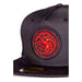 Casquette snapback House of the Dragon Difuzed vue de profil