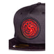 Casquette snapback House of the Dragon Difuzed vue de profil