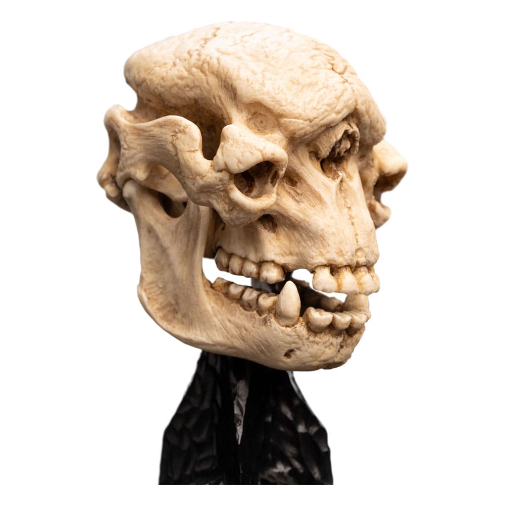 Statuette Le Seigneur des Anneaux Skull of a Cave Troll sur socle