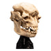 Statuette Le Seigneur des Anneaux Skull of a Cave Troll sur socle