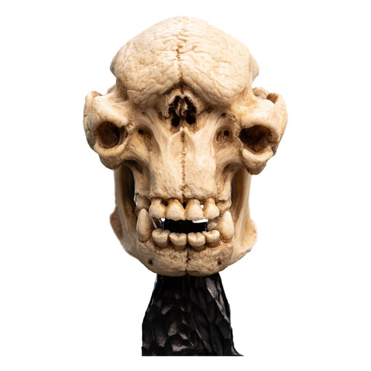 Statuette Skull of a Cave Troll avec dimensions 21 cm