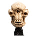 Statuette Skull of a Cave Troll avec dimensions 21 cm
