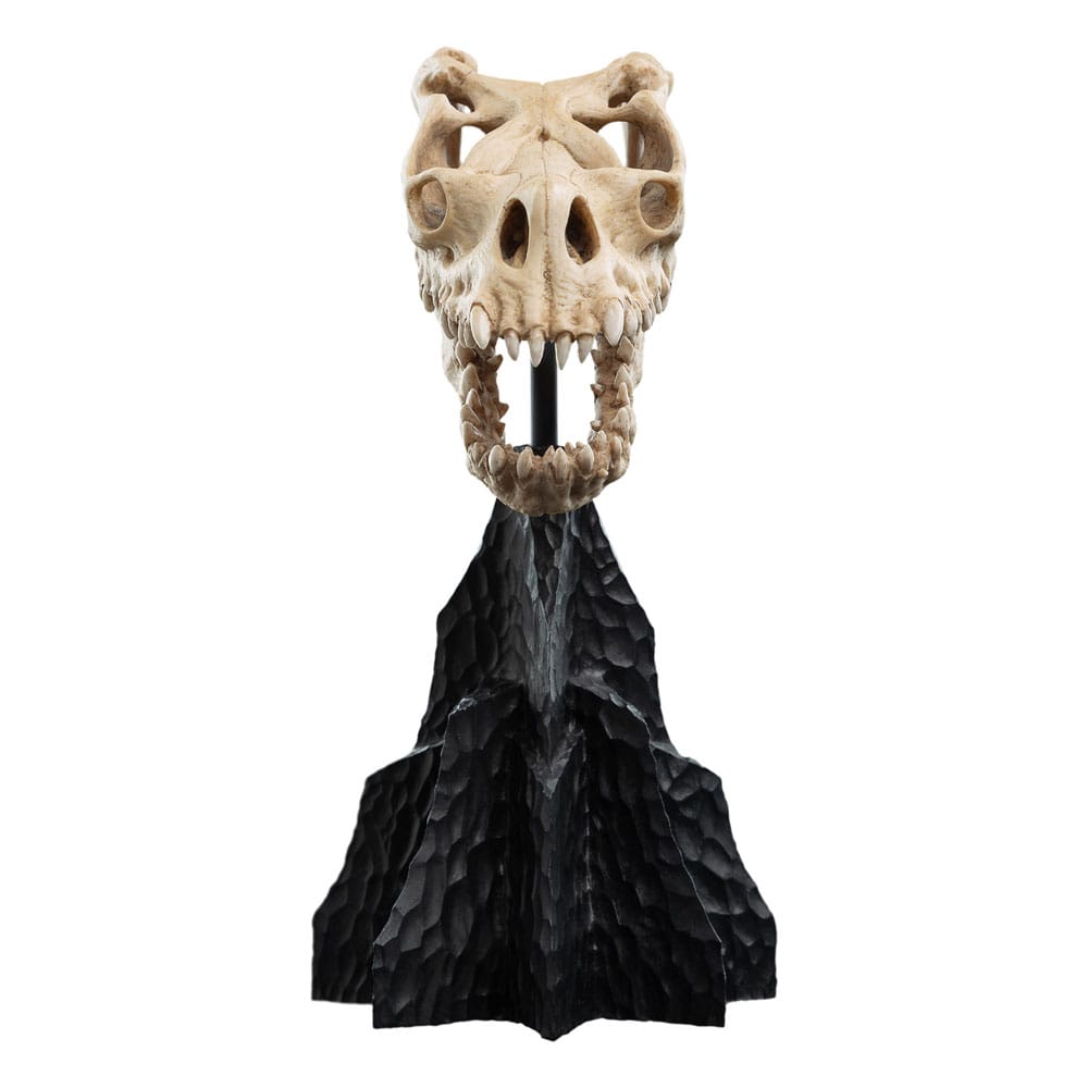 Statuette Skull of a Fell Beast Le Seigneur des Anneaux Weta Workshop vue de face