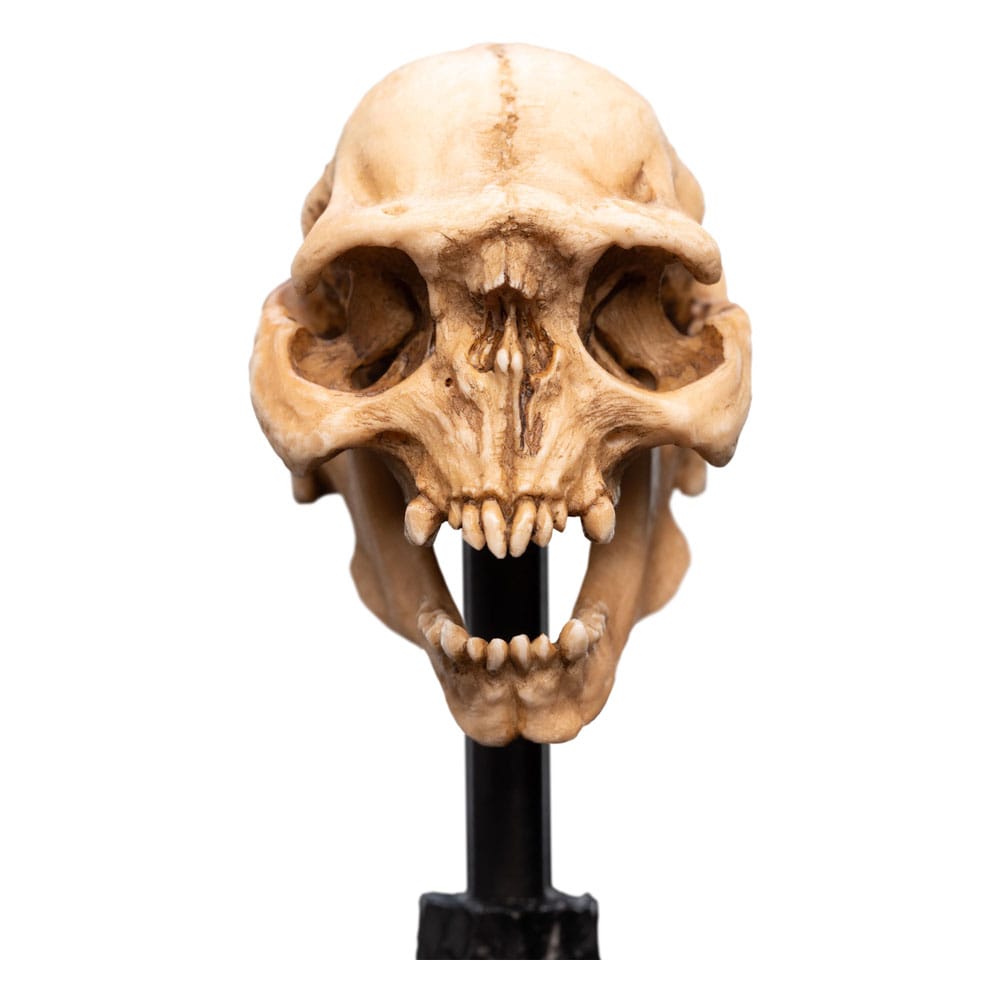 Statuette Le Seigneur des Anneaux Skull of a Moria Orc dans son emballage d'origine