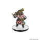 Miniature Pathfinder Iconic Heroes XI, personnage D en gros plan